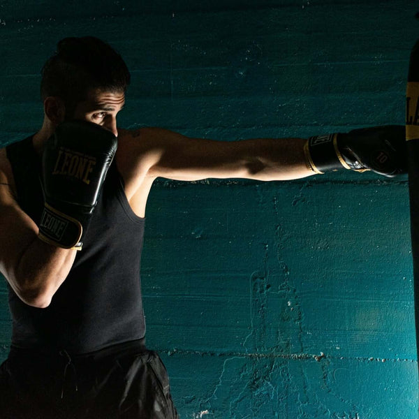 Premium sparring gloves-Harnessing the Power of Japanese