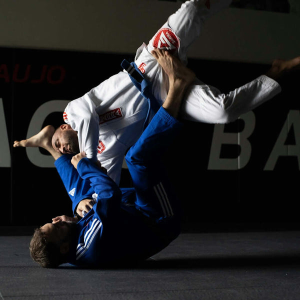 BJJ Paragon Elite Fight - BJJ 기의 견고한 봉제