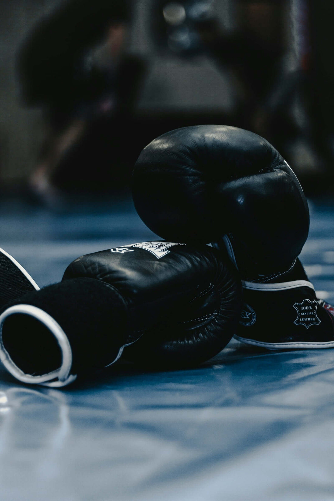 Kangaroo gloves for professional boxing - Paragon Elite Fight