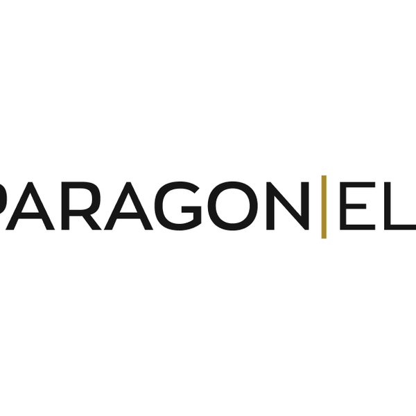 Paragon Elite Fight .What is Paragon ?