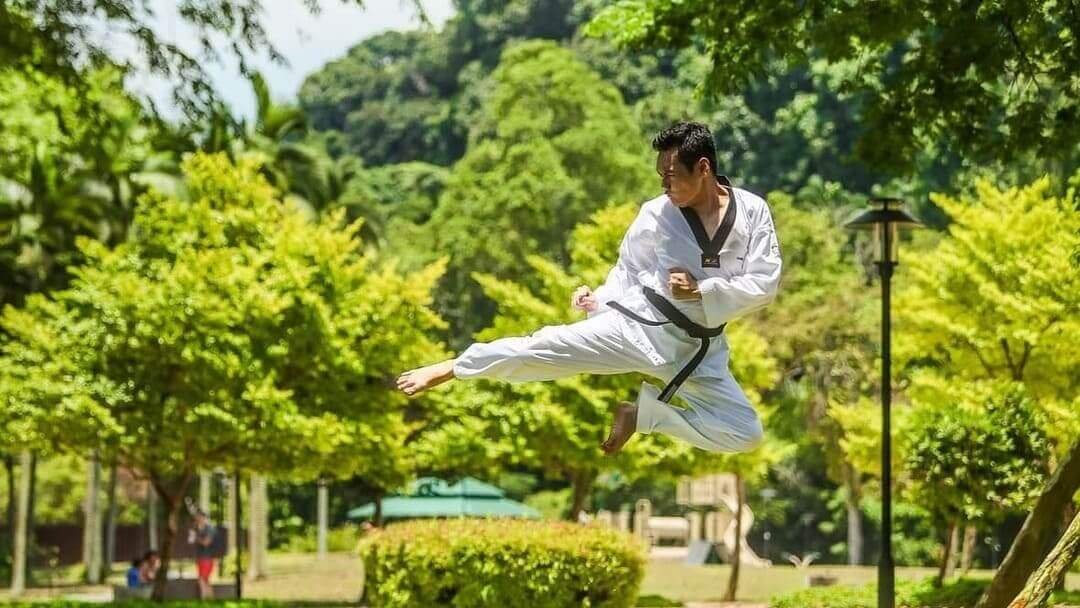 Martial artist performing a high kick in a lush park, showcasing skills in traditional martial arts.