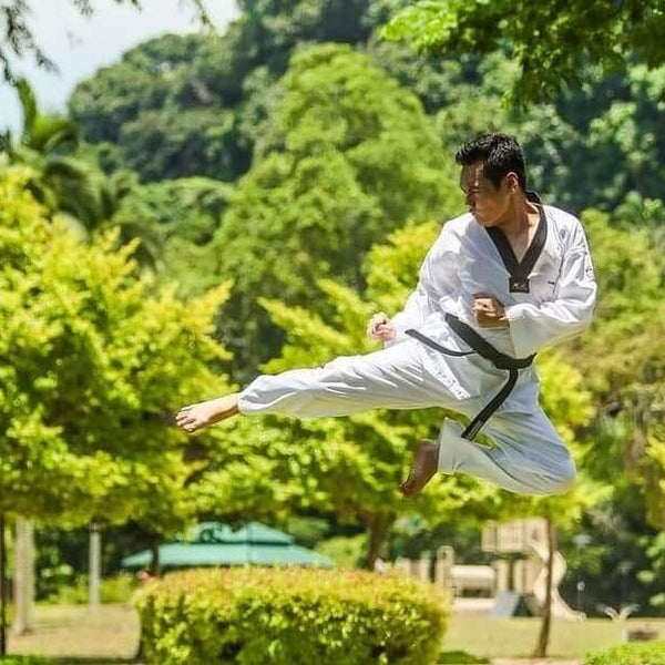 Martial Arts : The Rise - Global Influence and Legacy