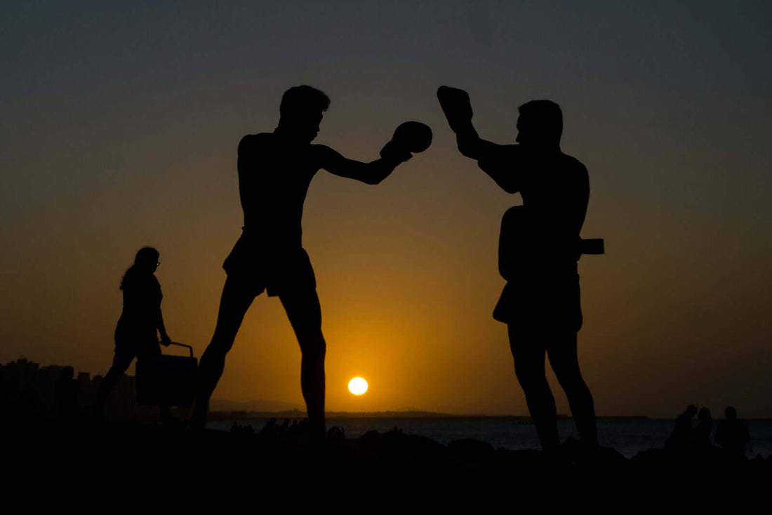 Two fighters practicing BJJ techniques in front of a sunset silhouette.