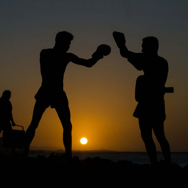 BJJ-무술 엔지니어들이 BJJ 기를 재창조하는 방법