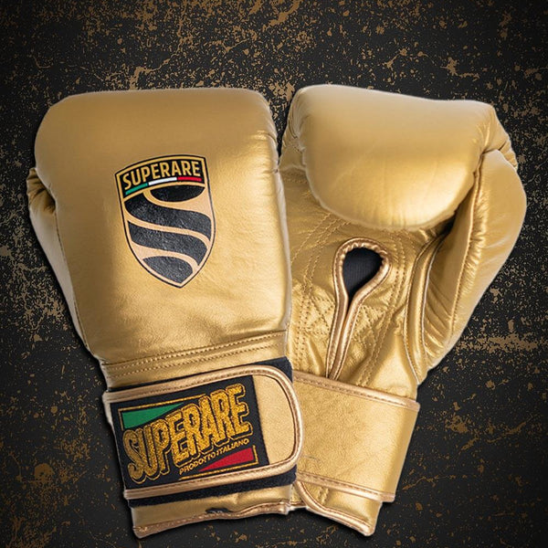 Fight gear-Paragon Elite Fight Pro Boxing Gloves