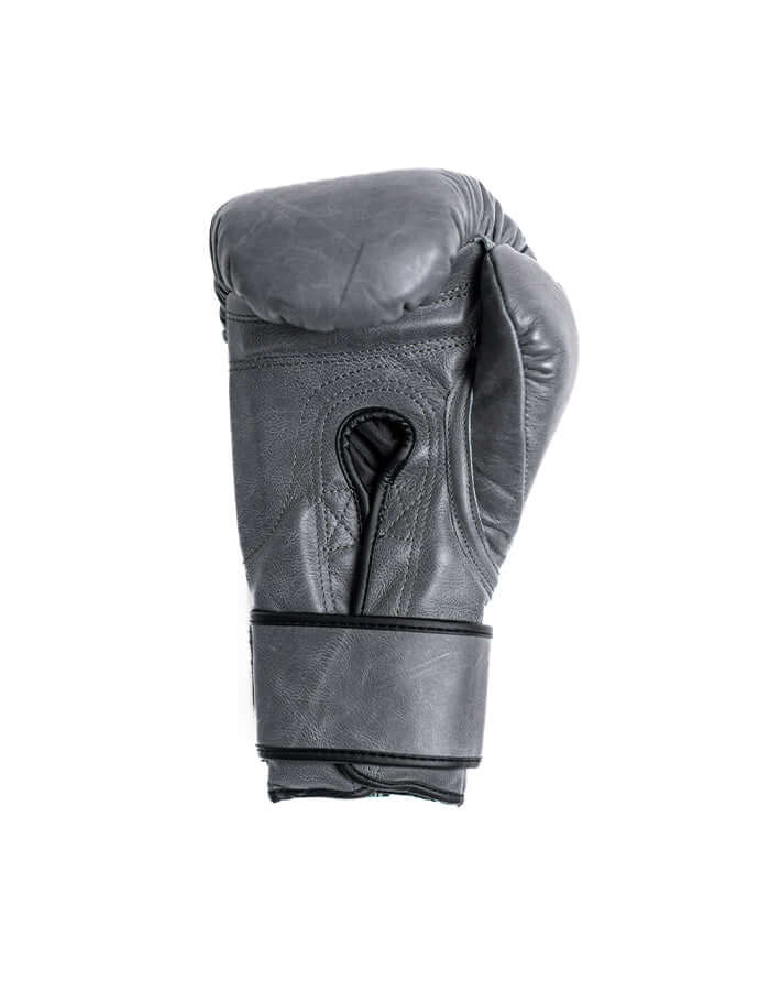 Pro Boxing Gloves