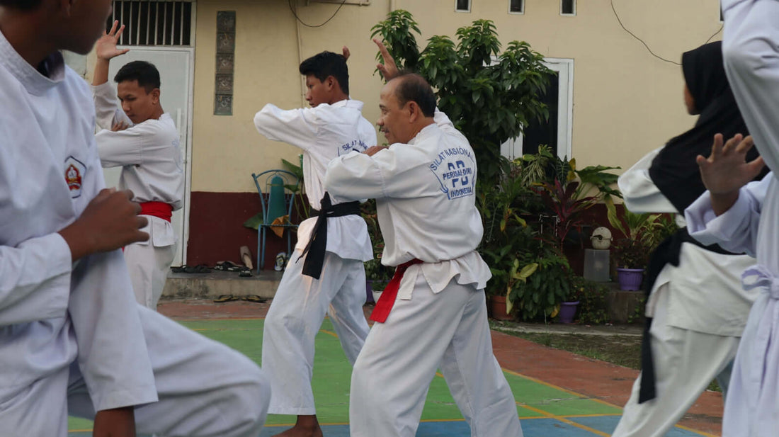 Martial artists practicing techniques during a fight training session, showcasing discipline and technique.