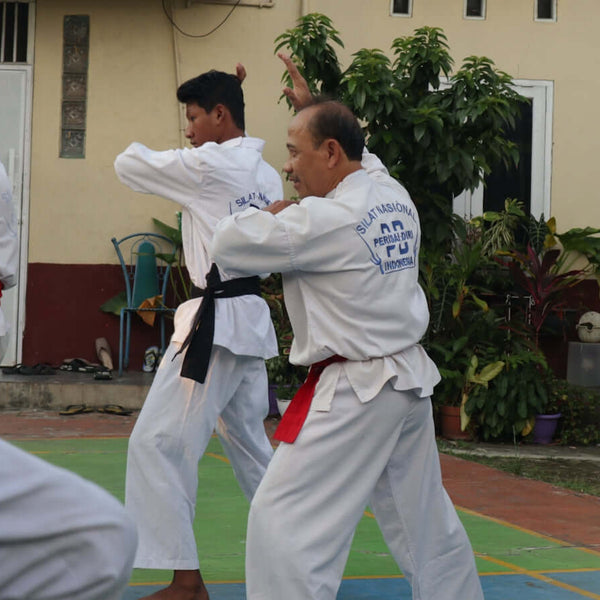 군사 기술 BJJ 기를 만드는 전투 기술 공학