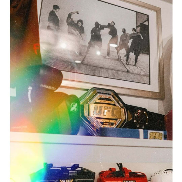 Paragon Elite Fight vs Hayabusa vs Winning vs Cleto Reyes vs Sting