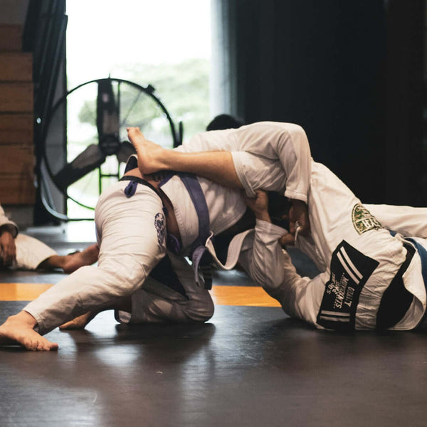 BJJ-코듀라에서 헴프까지: 최첨단 원단들