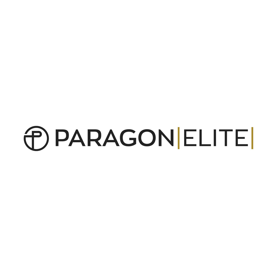 Paragon Elite logo representing martial arts training and community.