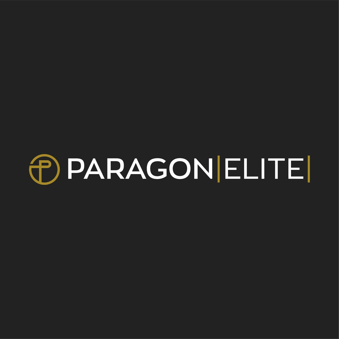 Logo of Paragon Elite, representing branding in martial arts and athletic training.