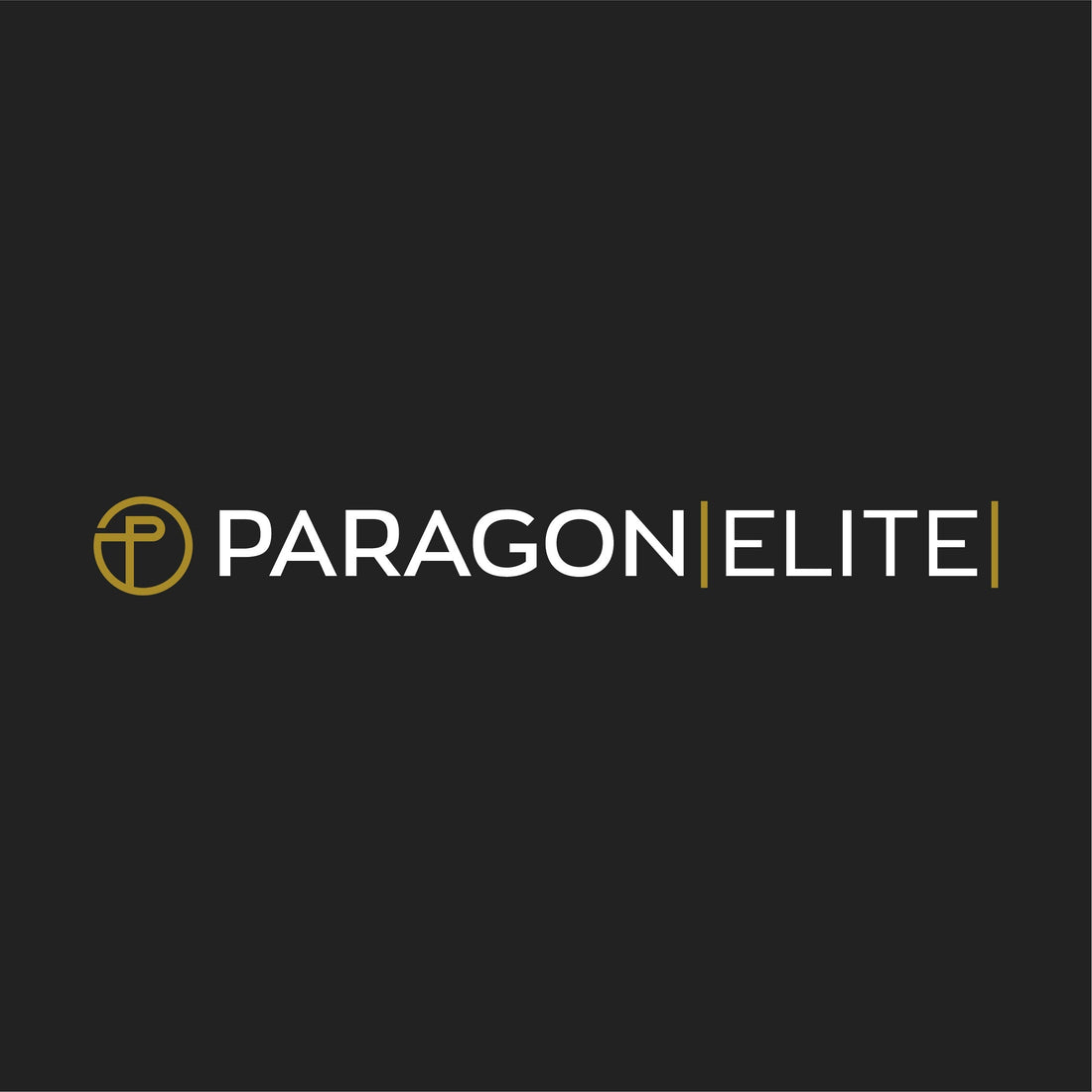 Paragon Elite Fight showcasing Mau Rākau martial arts expertise and branding.