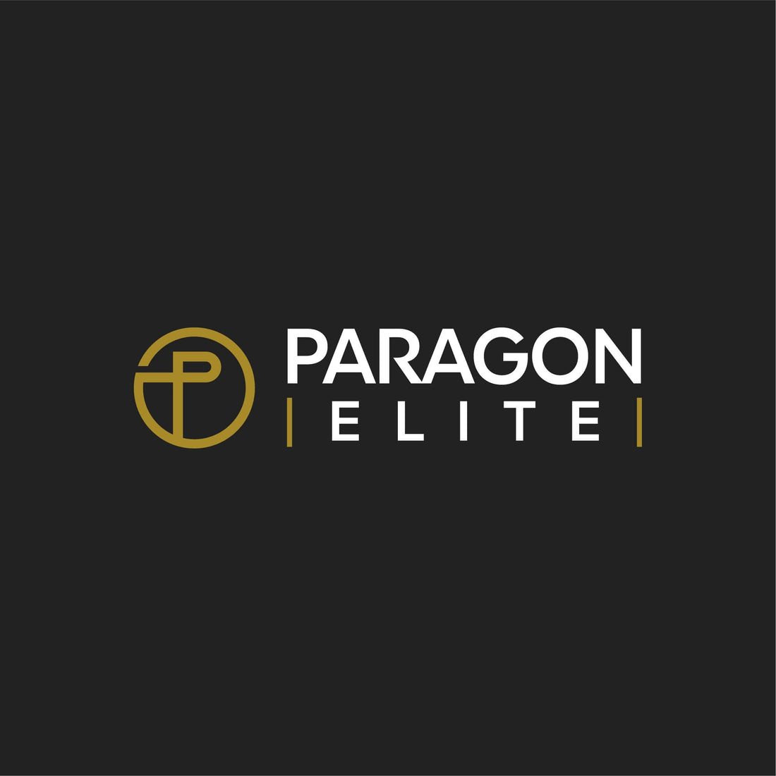 Logo of Paragon Elite representing top-quality boxing gloves in a sleek design.